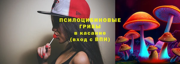 индика Кукмор