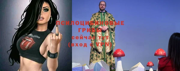 индика Кукмор