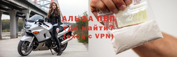индика Кукмор