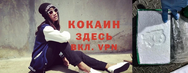 индика Кукмор