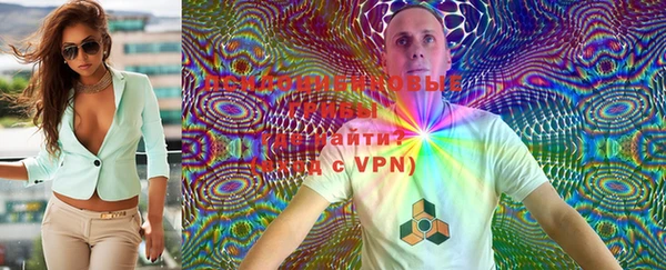 PSILOCYBIN Ладушкин